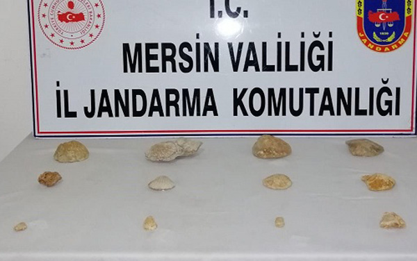 Operasyonunda 12 fosil ele geçirildi
