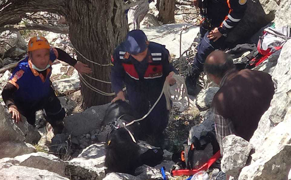Adana'da kayalıklarda mahsur kalan 2 keçi kurtarıldı