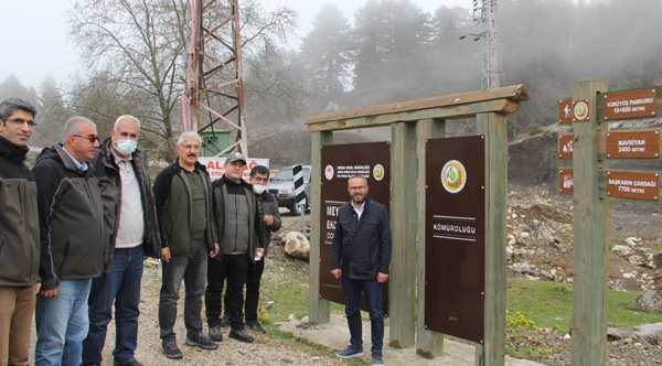 BAL ORMANLARI PROJESİ ÇALIŞMASI