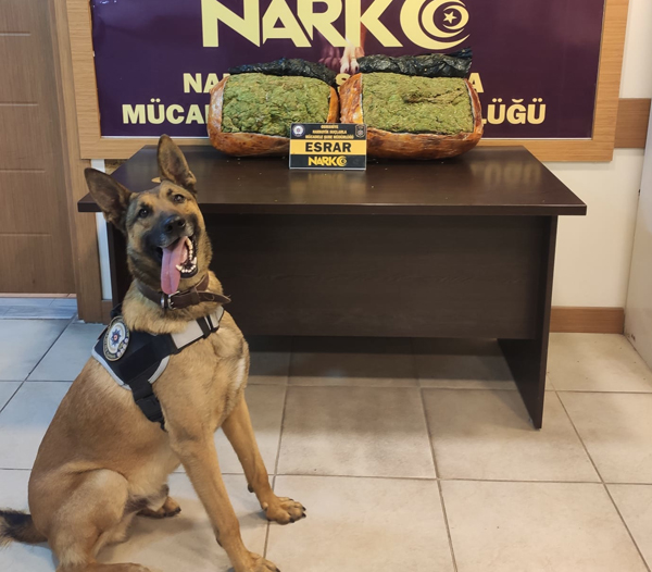 Operasyonunda 10 kilo 200 gram esrar ele geçirildi