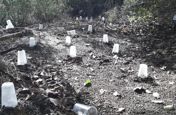 Uyuşturucu operasyonunda 3 zanlı yakalandı