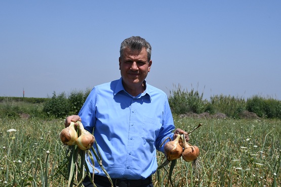 Barut: Soğan tarlada kaldı