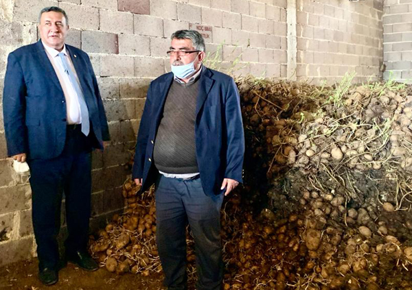 Gürer: “En az 100 bin ton patates çürüdü”
