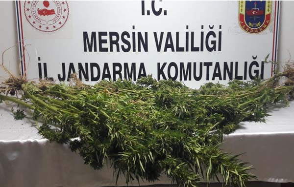 Uyuşturucu operasyonunda 5 şüpheli yakalandı