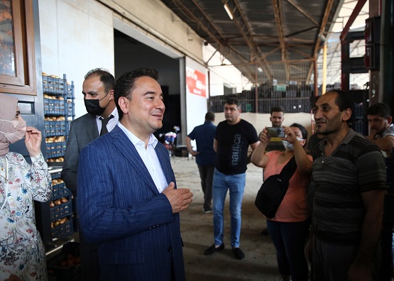 Babacan sebze halinde