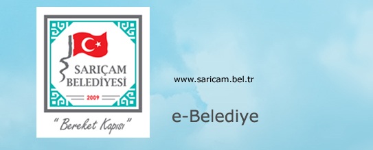 MICIR SATIN ALINACAKTIR