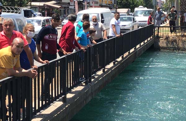 Sulama kanalına giren iki kişiden biri kayboldu
