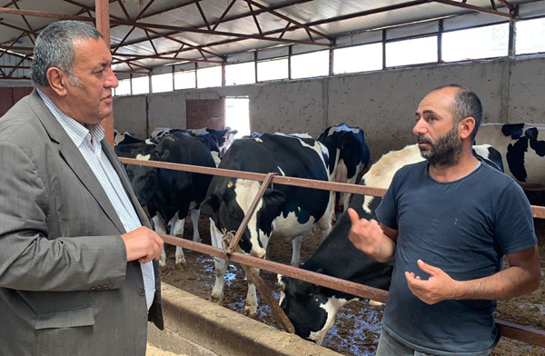 Yem fiyatları besicinin canına tak ettirdi