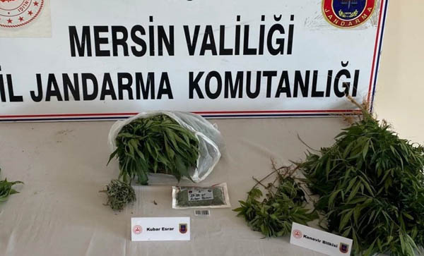 Uyuşturucu operasyonunda 2 şüpheli yakalandı