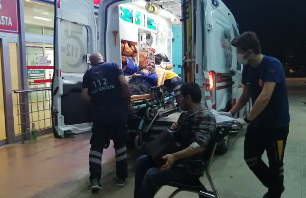 Üzerine ağaç devrilen otomobildeki iki kişi yaralandı