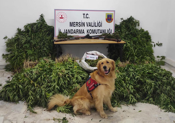 Mersin'de uyuşturucu operasyonu: 7 gözaltı