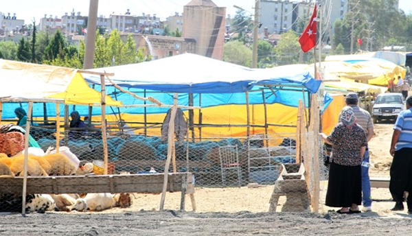 Çukurova’da kurban satış yerleri belirlendi