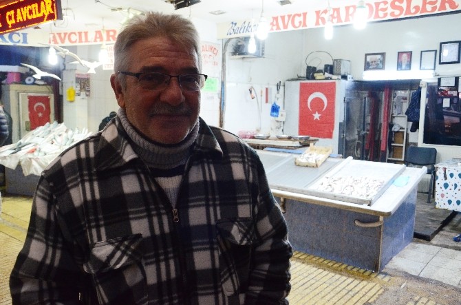 Hamsi rekora koşuyor