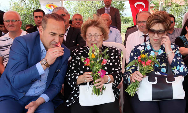 Çukurova çiçek diyarına dönüşüyor