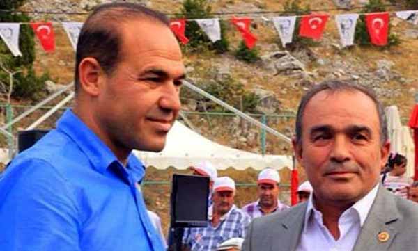 Pembe Devrim Gibi
