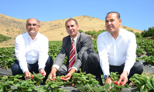 Adana’da kırsal kalkınma hamlesi yüz güldürüyor