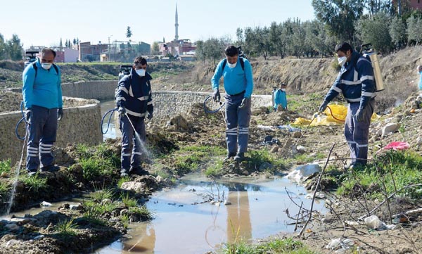 Adana’da sinek ve haşereyle mücadele sürüyor