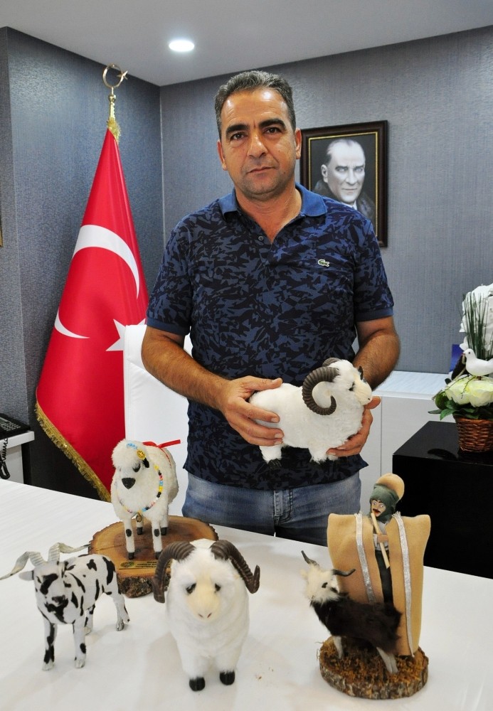 Şen: