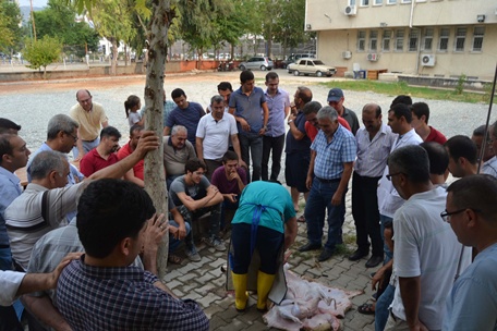KURBAN KESİM KURSU