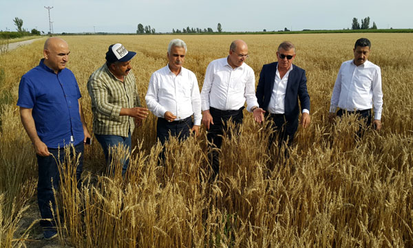 MHP'li Karakaya, afet bölgesini gezdi