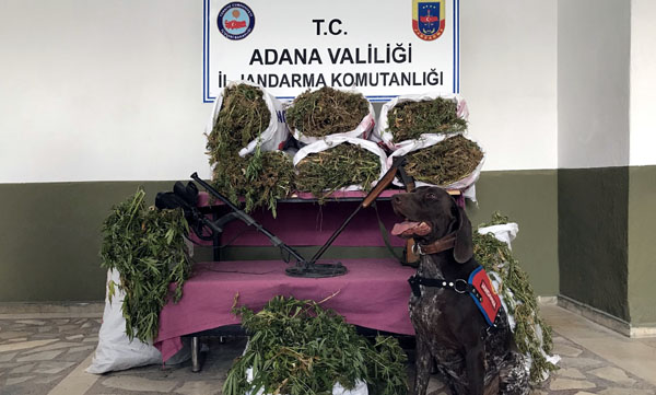Adana'da uyuşturucu operasyonu