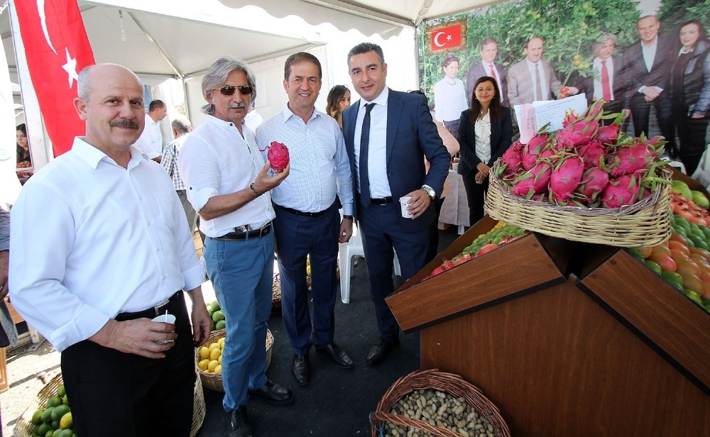 Çukurova’nın tarımsal ürünleri Lezzet Festivali’nde sergilendi