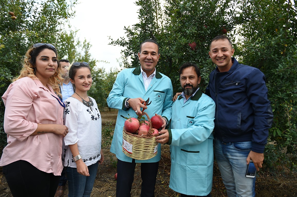 Sarıçam'da Nar Festivali