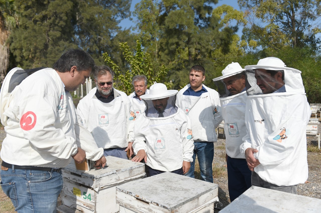 Arıcılık Kursunda pratik derslere başlandı