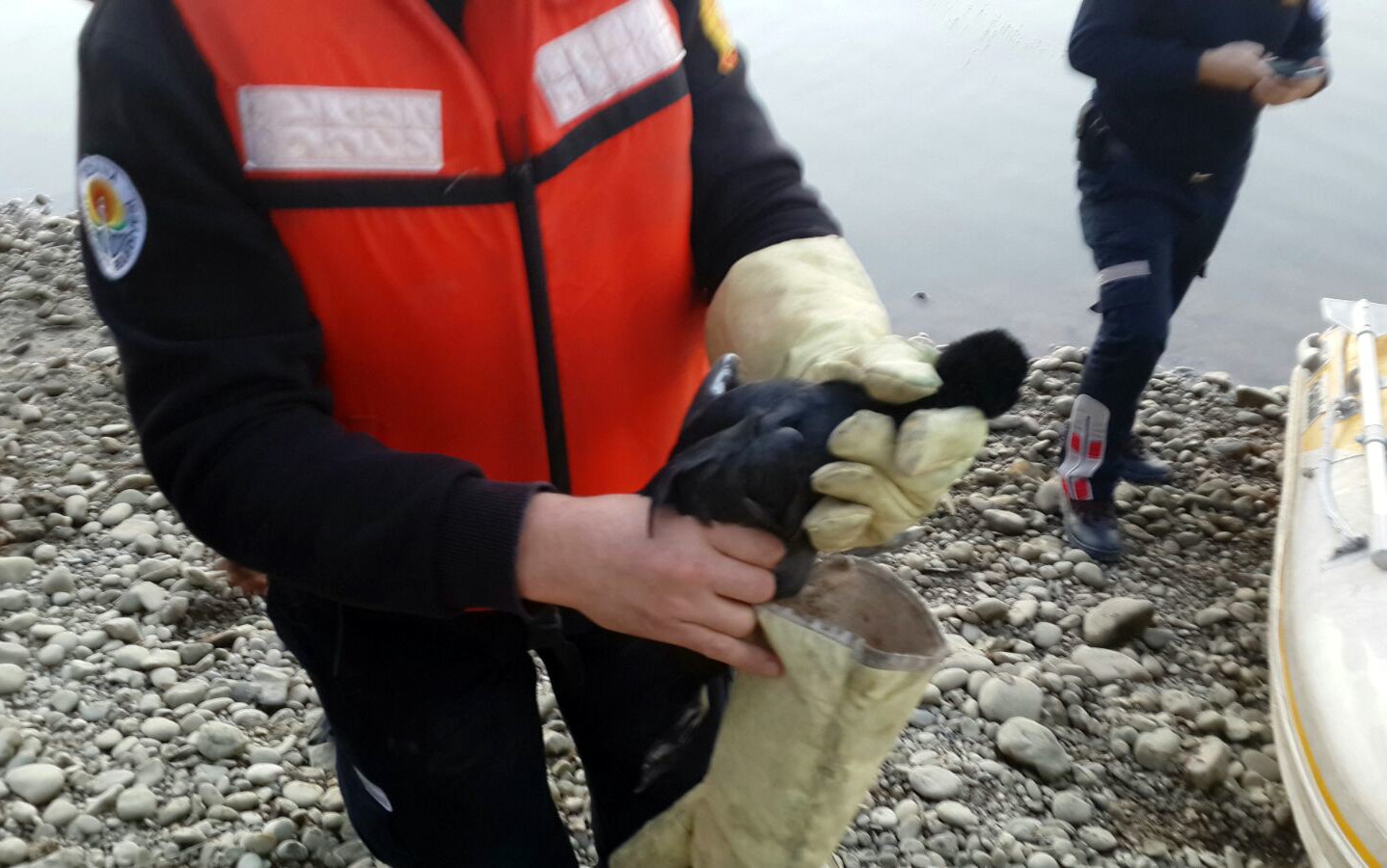 Misinaya takılan martıyı CANKUR kurtardı