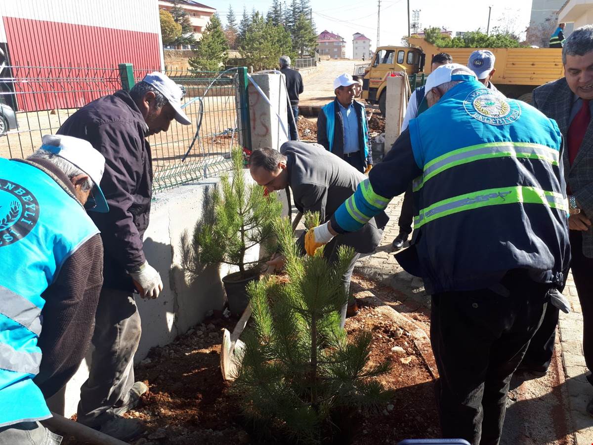 Tufanbeyli’de ağaçlandırma çalışması