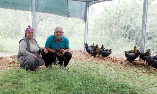 Doğal yumurta “biyumurta” markasıyla geliyor