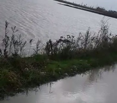 Adana’da tarım alanlarını su bastı