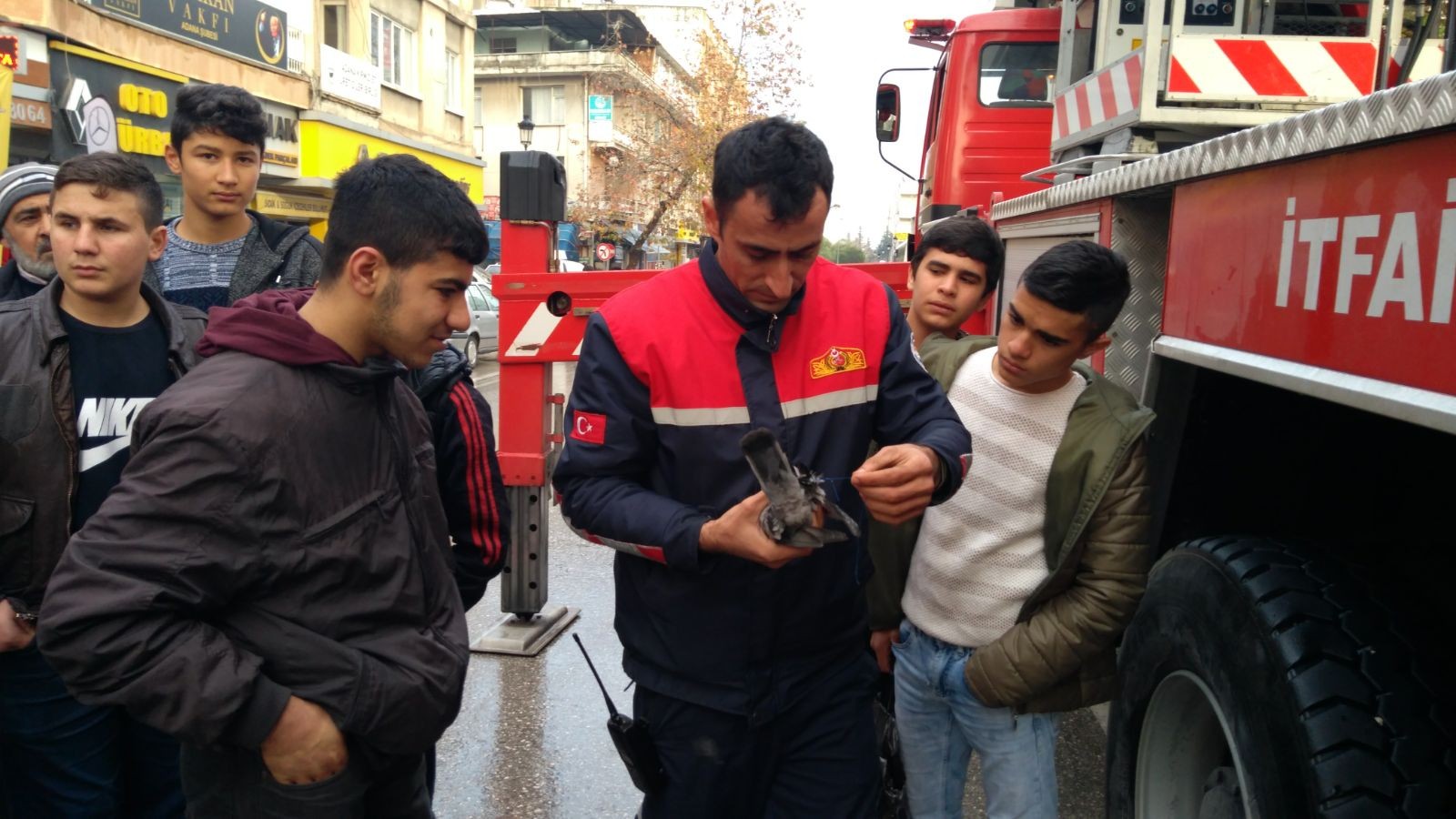 Ağaçtaki ipe dolanan güvercin itfaiye ekipleri tarafından kurtarıldı