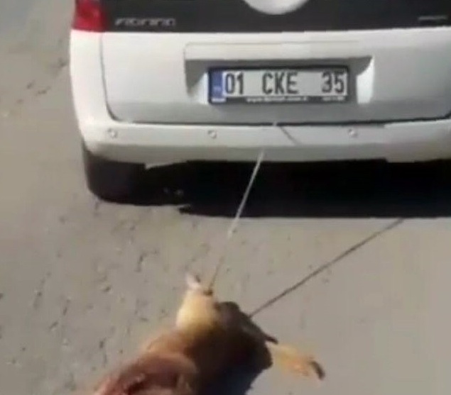 Köpeği aracın arkasına bağlayıp sürükledi