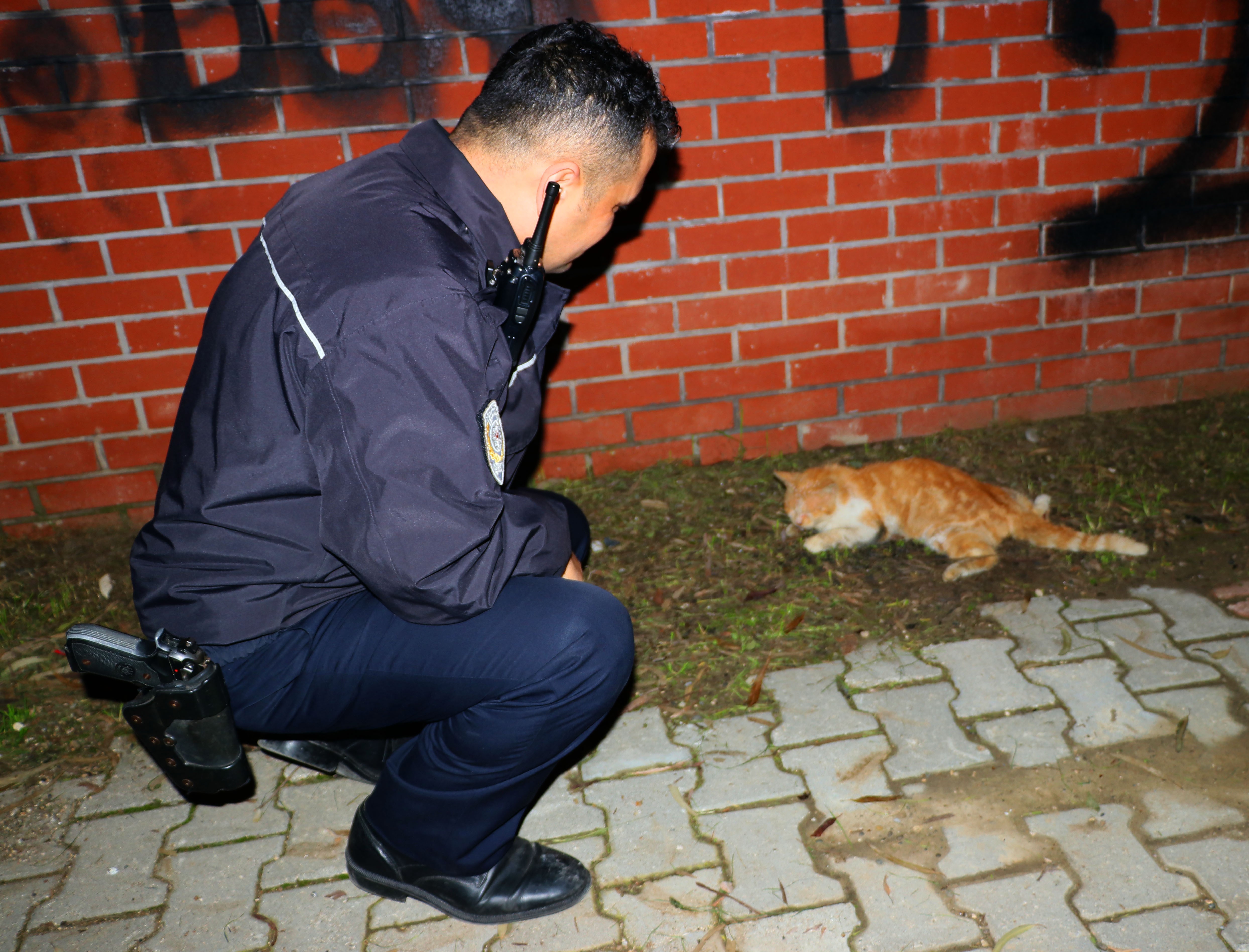 Yaralı kedinin yardımına vatandaş ile polis koştu