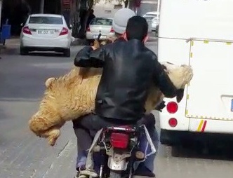 'Allah akıl fikir versin'